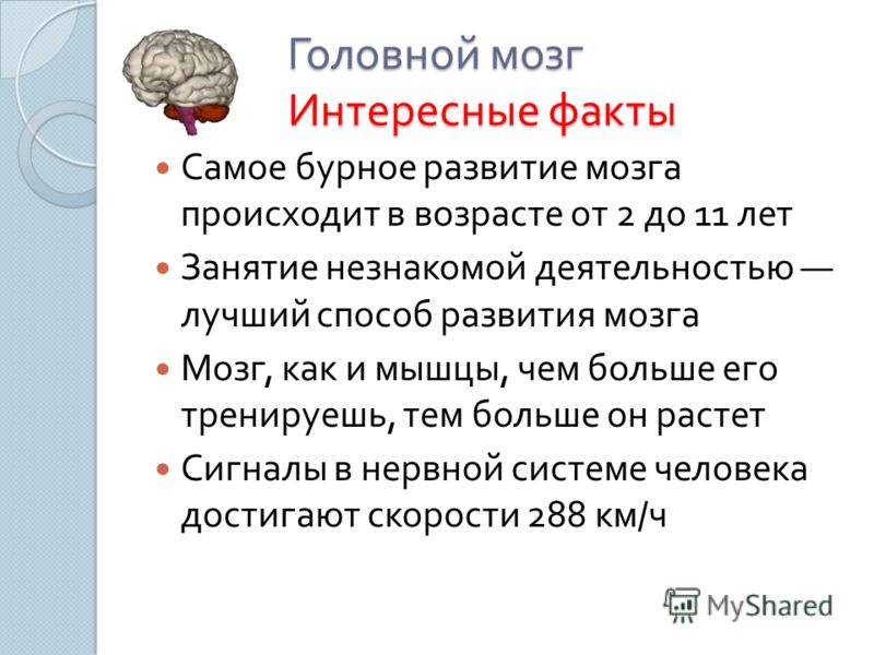Интересные факты о строении человека