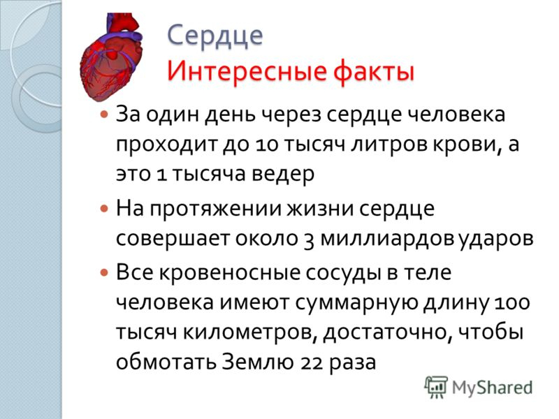 Интересные факты о строении человека