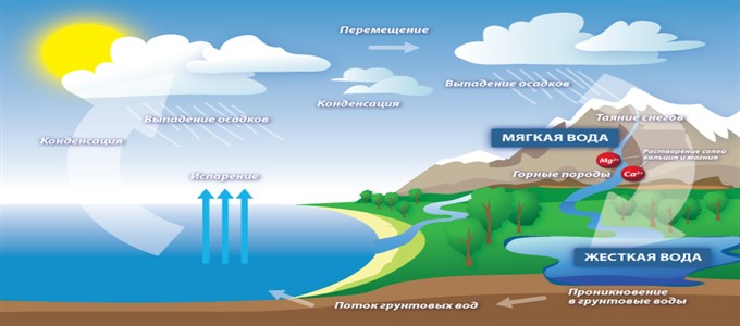 Интересные факты о воде
