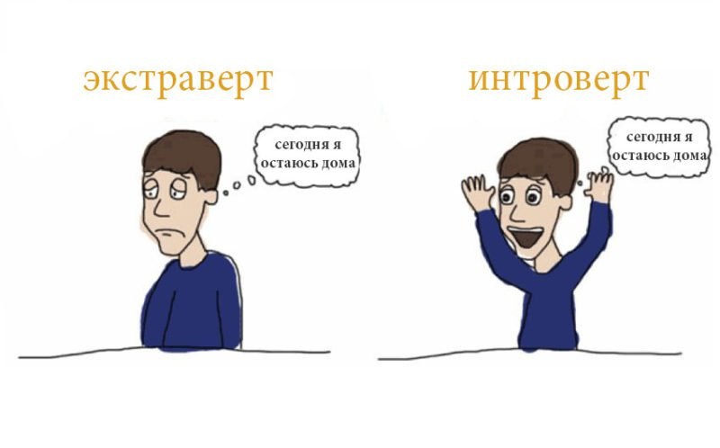 Интроверты и экстраверты – описание, примеры и тесты
