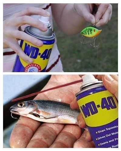 Использование смазки wd-40 на рыбалке