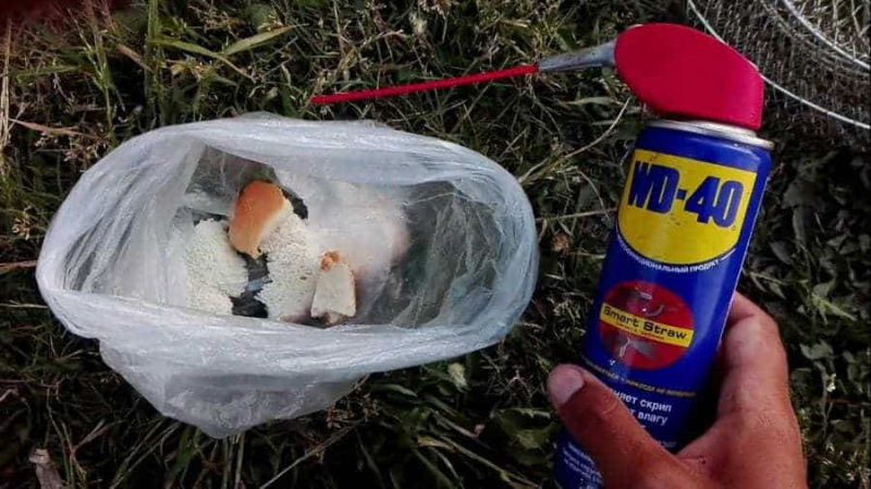 Использование смазки wd-40 на рыбалке