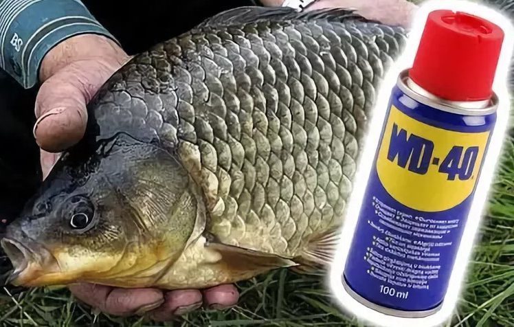 Использование смазки wd-40 на рыбалке