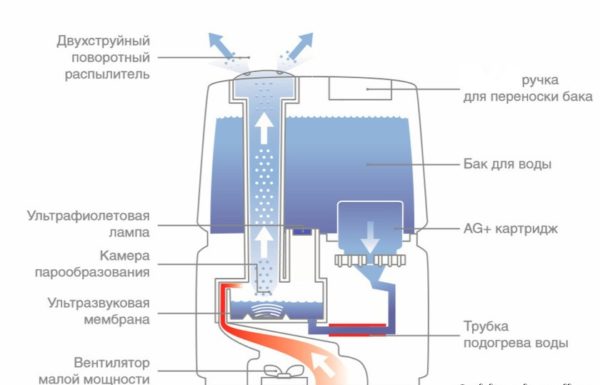 Из увлажнителя воздуха не идет пар: причины неисправности