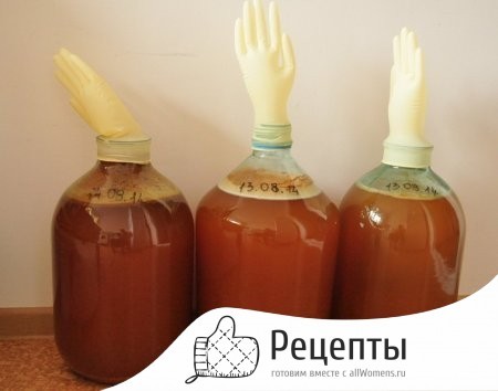 Яблочное вино в домашних условиях – рецепт и приготовление
