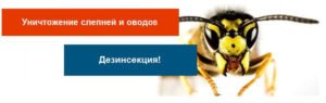 Как бороться со слепнями