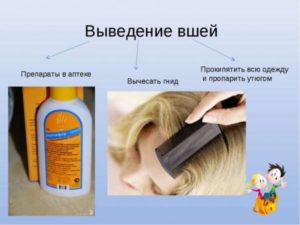 Как быстро вывести вшей и гнид в домашних условиях