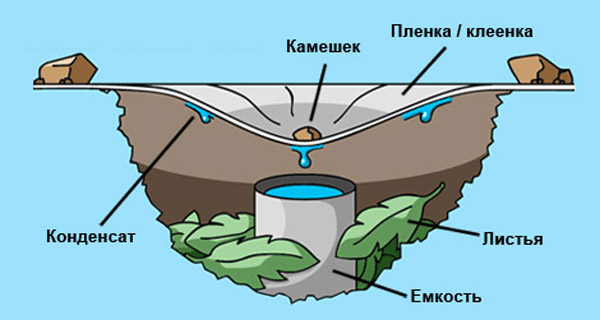 Как добыть воду в лесу