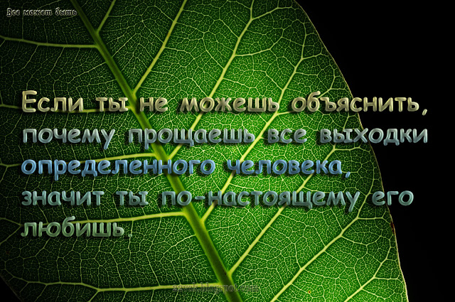 Как фрэнсис бэкон от курицы умер – интересные факты
