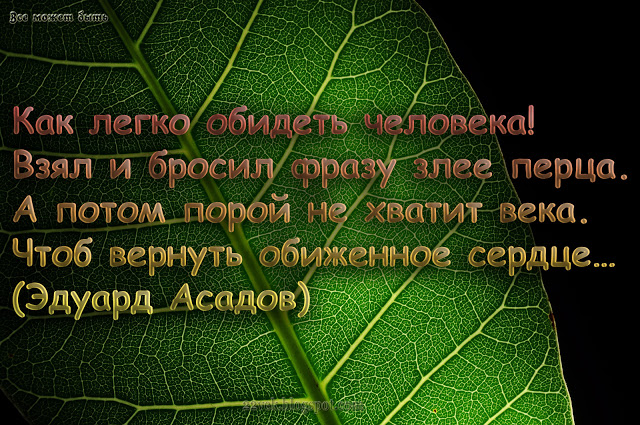 Как фрэнсис бэкон от курицы умер – интересные факты