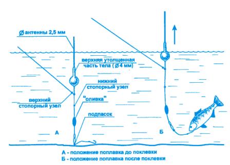 Как ловить карася на поплавочную удочку