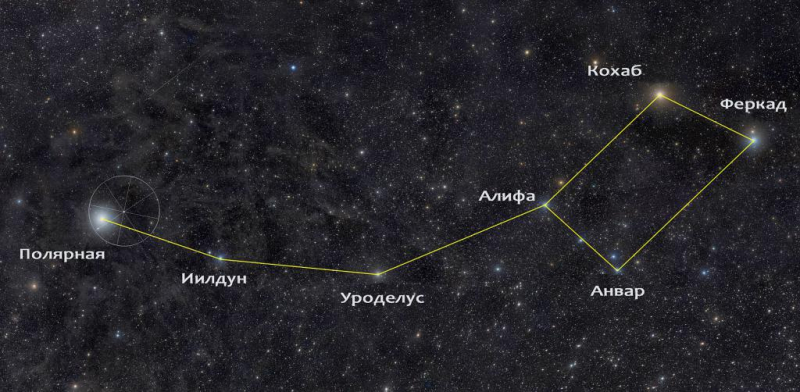 Как найти полярную звезду: основные советы и методы