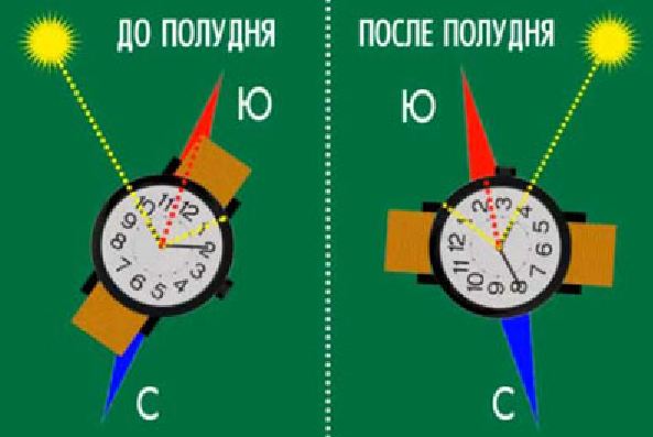 Как определить стороны света по часам
