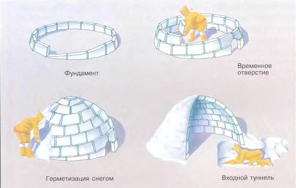Как построить иглу