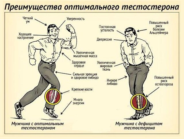 Как повысить тестостерон