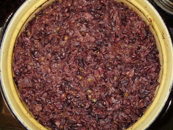 Как приготовить второе вино из жмыха (мезги) винограда или яблок своими руками?