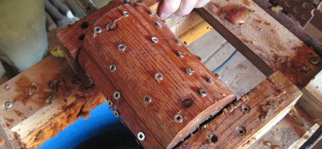 Как сделать cоковыжималку для яблок своими руками?