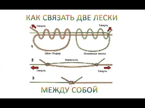 Как связать две лески между собой