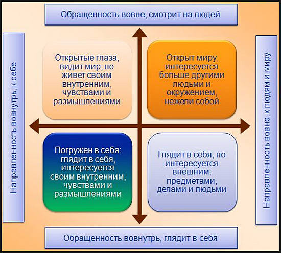 Как видят мир экстраверты и интроверты