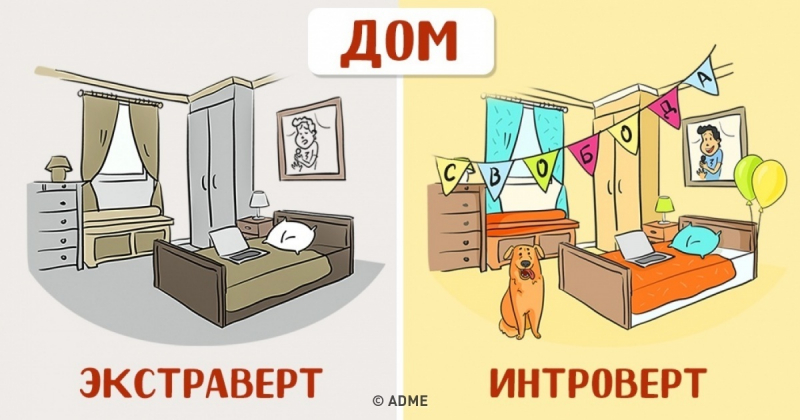 Как видят мир экстраверты и интроверты