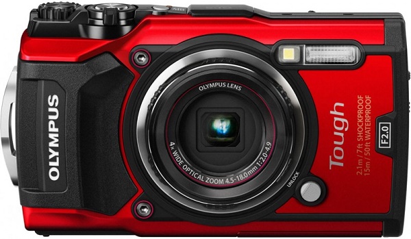 Какой фотоаппарат лучше, canon или nikon: сравнение по ключевым характеристикам