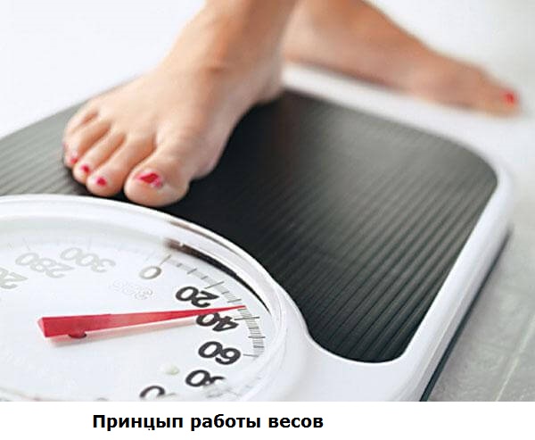 Калибровка электронных и механических напольных весов самостоятельно