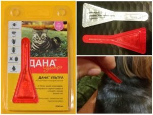 Капли дана ультра нео от блох для кошек и собак