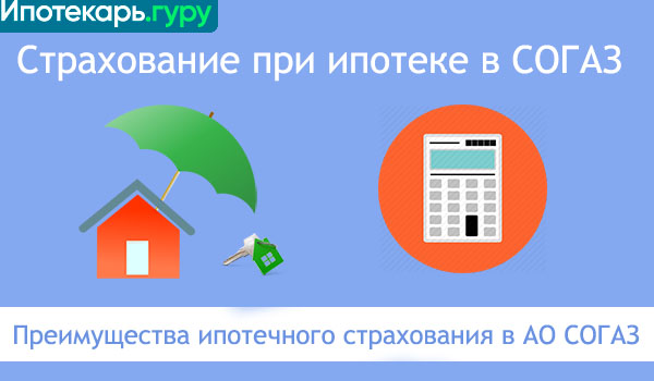Каско от согаз: условия, правила, как узнать стоимость и процедура оформления