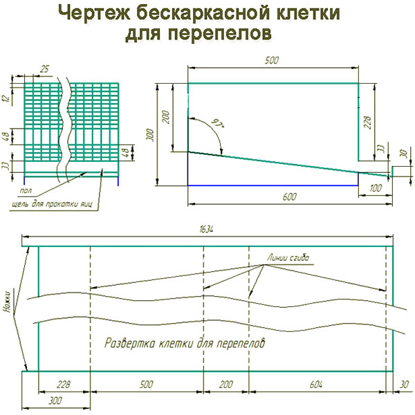 Клетки для перепелов своими руками (инструкции + чертежи)