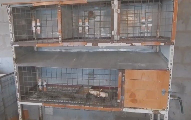 Конструкция клеток для нутрий – сооружаем правильно