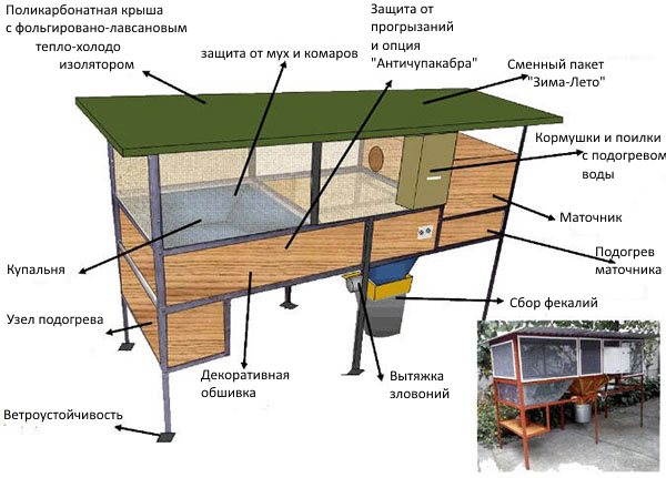 Конструкция клеток для нутрий – сооружаем правильно