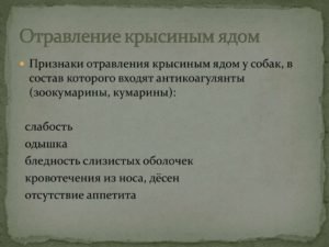 Крысиный яд