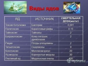 Крысиный яд