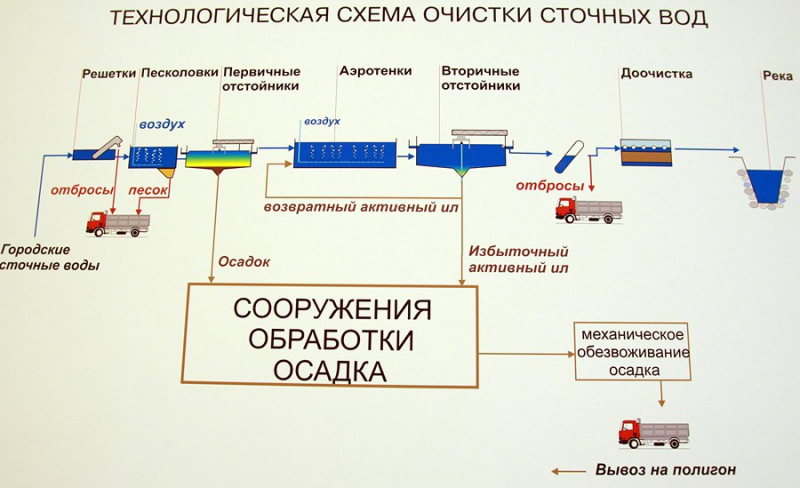 Куда течет канализация интересные факты