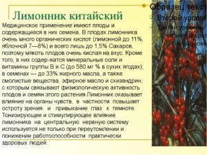 Лимонник китайский лечебные свойства и противопоказания, где купить и отзыв