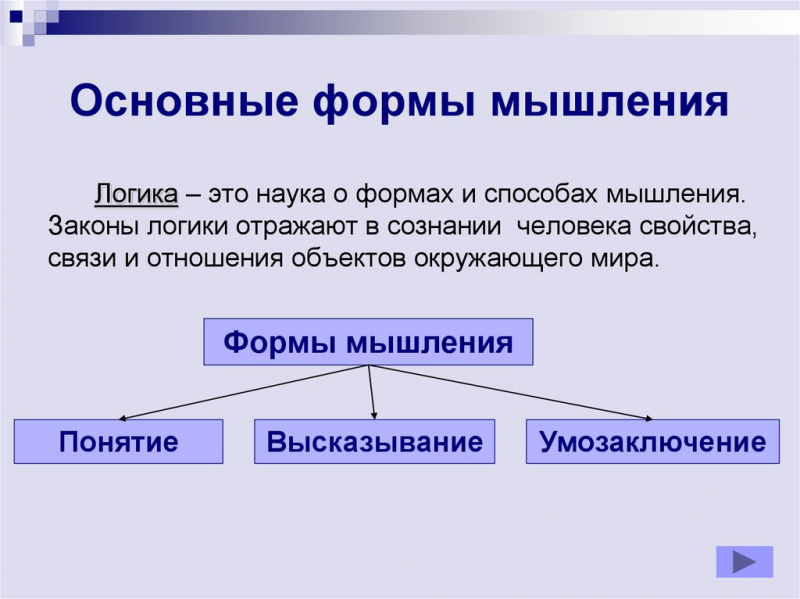 Логика – основы, формы, законы