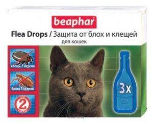 Лучшие капли на холку для кошек от блох и клещей