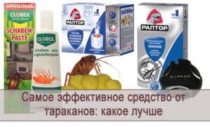 Лучшие средства от тараканов в квартире