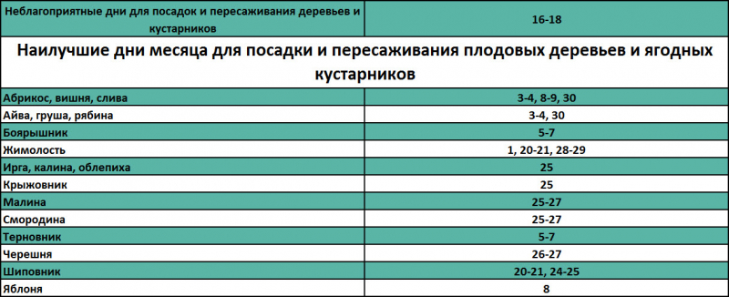 Лунный посевной календарь садовода и огородника на февраль 2018: что сажать в начале, посадки в конце месяца, таблица, благоприятные дни