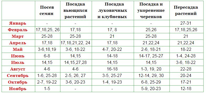 Лунный посевной календарь садовода и огородника на февраль 2018: что сажать в начале, посадки в конце месяца, таблица, благоприятные дни