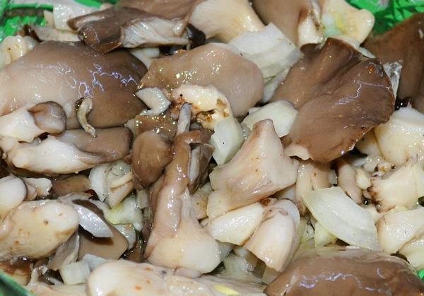Маринованные вешенки: рецепт быстрого приготовления, в домашних условиях, очень вкусно, на зиму, грибы, маринад, консервирование
