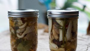 Маринованные вешенки: рецепт быстрого приготовления, в домашних условиях, очень вкусно, на зиму, грибы, маринад, консервирование