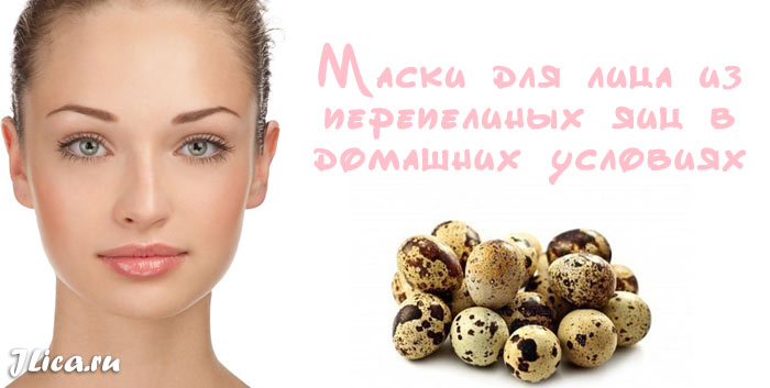 Маски для лица из перепелиных яиц: рецепты против угрей и прыщей