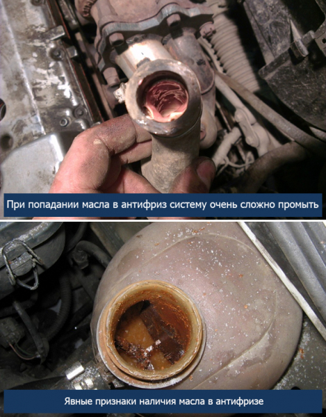 Масло в антифризе