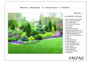 Миксбордер из кустарников и многолетников (41 фото): названия, готовые схемы, композиции своими руками, хвойные растения