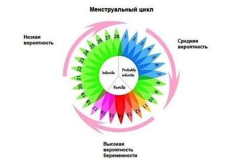 Можно ли забеременеть во время месячных