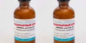 Нашатырь от тли — способ применения и эффективность