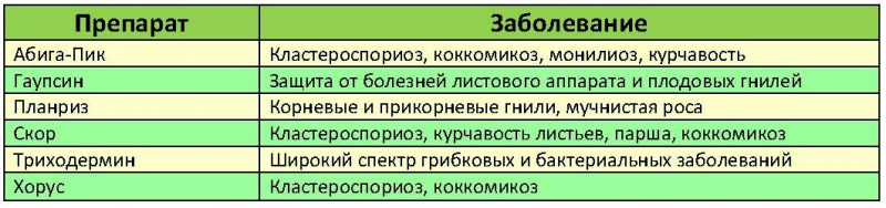 Обработка персика весной: от болезней, вредителей, сроки, правила, эффективные препараты, народные средства, особенности использования