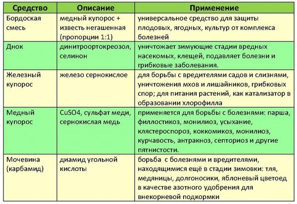 Обработка персика весной: от болезней, вредителей, сроки, правила, эффективные препараты, народные средства, особенности использования