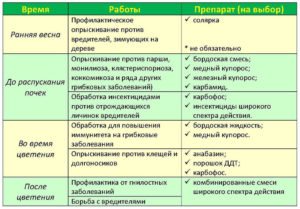 Обработка растений и грунта бордоской жидкостью весной: когда и что обрабатывать, дозировка, технология